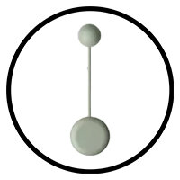 PIN