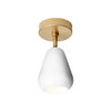 Anoli Spot Surface plafondlamp Nuura 