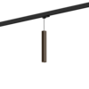 Hexo mini 3.0 on track (1-fase) par11 hanglamp Wever &amp; Ducre 