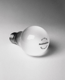 Lichtbron 1,5 watt LED (lightbulb)