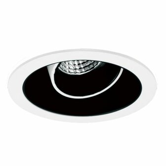 Rolina adjustable inbouwspot Mvlights