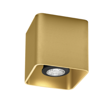 Docus 1.0 gu10 opbouwspot Wever &amp; Ducre 