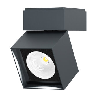 Pro S outdoor plafondlamp IP44.de