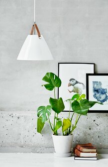 Strap pendant Glass hanglamp Nordlux