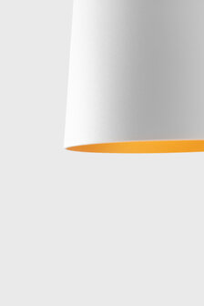 Tulip Bloom Suspended hanglamp Modular