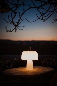 The Boleti Lamp portable lamp Goodnight Light