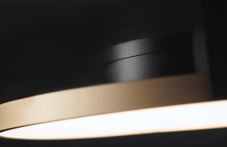 Inlay round C2 black/silver plafondlamp Light Point