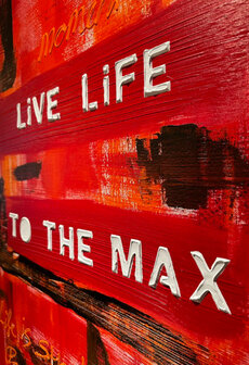 Live Life To The Max - Kunst