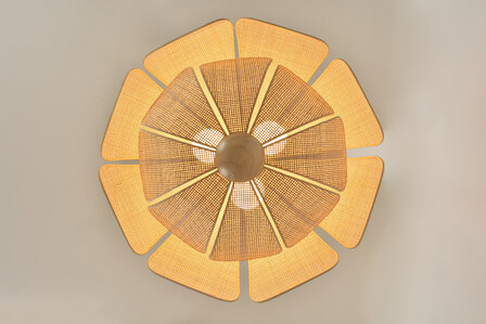 Coquillage D70 hanglamp Market Set