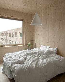 S2 w221 Medium hanglamp W&auml;stberg  