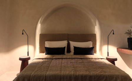 Austere wall push plug  wandlamp Trizo21