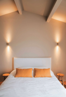 Audy wall 2S wandlamp Trizo21
