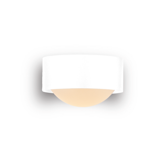 Bilo C Mat semi recessed bathroom/out  plafondlamp Trizo21