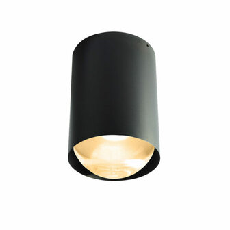 Bily 16 up Outdoor plafondlamp Trizo21