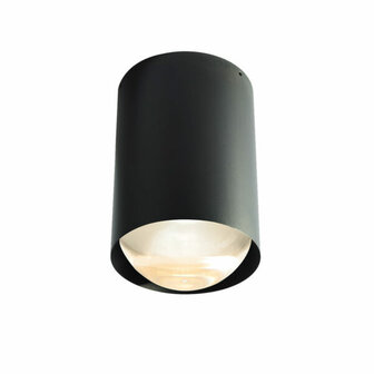 Bily 16 up Outdoor plafondlamp Trizo21