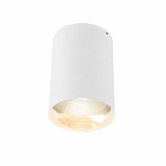Bily 16 up Outdoor plafondlamp Trizo21