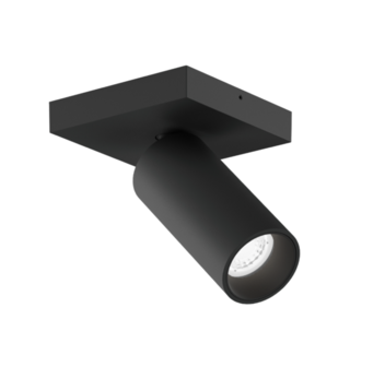 Pillo 1.0 opbouwspot Wever &amp; Ducre 