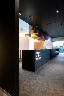 Dinor 2.0 hanglamp Wever &amp; Ducre 