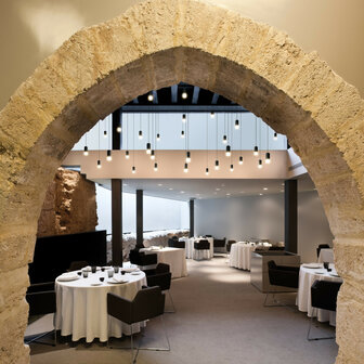 Wireflow Free 0361 hanglamp Vibia 