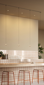 Oplia 1.0 on strex rail hanglamp Wever &amp; Ducre 