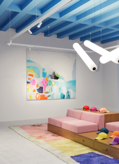 Liko 1.0 led on track (3-fase) railspot  Wever &amp; Ducre 