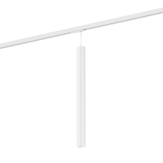 Ray mini 5.0 on track 1-fase par11 hanglamp Wever &amp; Ducre 