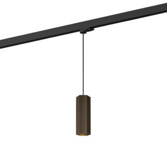 Hexo 2.0 on track (1-fase) gu10 hanglamp Wever &amp; Ducre 