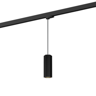 Hexo 2.0 on track (1-fase) gu10 hanglamp Wever &amp; Ducre 