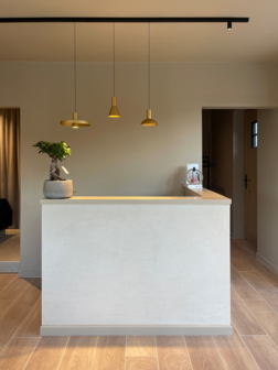 Odrey 1.7 led on strex rail hanglamp Wever &amp; Ducre 