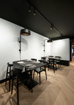 Sara 1.0 gu10 on track 1-fase railspot  Wever &amp; Ducre 