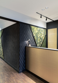 Sara 1.0 gu10 on track 1-fase railspot  Wever &amp; Ducre 