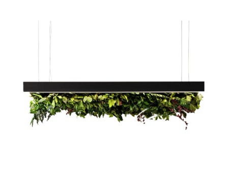 Meeting Silence Leaf hanglamp Olev