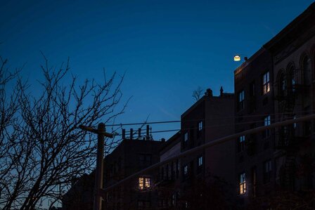 Twiggy Grid outdoor vloerlamp Foscarini