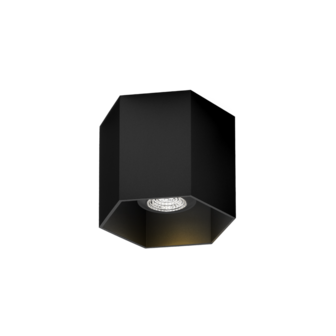 Hexo 1.0 gu10 opbouwspot Wever &amp; Ducre 