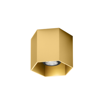 Hexo 1.0 gu10 opbouwspot Wever &amp; Ducre 