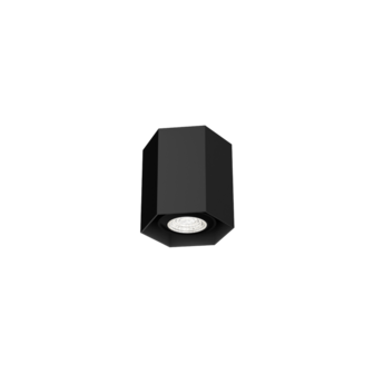 Hexo mini 1.0 gu10 opbouwspot Wever &amp; Ducre 