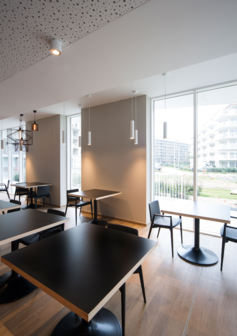 Ray 3.0 led hanglamp Wever &amp; Ducre 