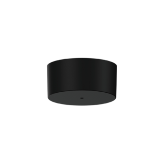 Ray 2.0 gu10 hanglamp Wever &amp; Ducre 