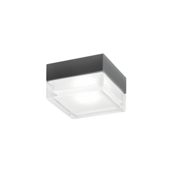 Blas 2.0 led outdoor plafondlamp Wever &amp; Ducre 