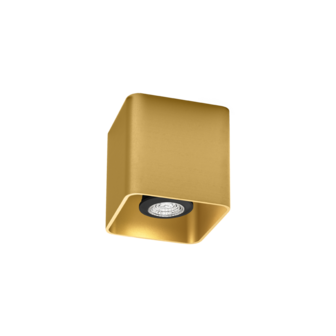 Docus 1.0 gu10 opbouwspot Wever &amp; Ducre 