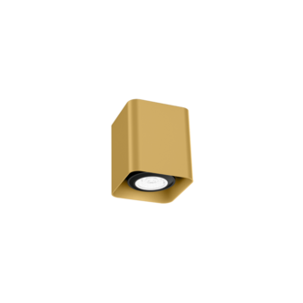 Docus mini 1.0 gu10 opbouwspot Wever &amp; Ducre 