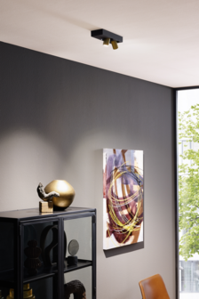 Bliek surface petit 2.0 LED opbouwspot Wever &amp; Ducre 