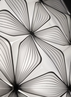 C'est La Vie suspension medium hanglamp Slamp