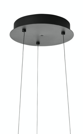 Ring suspension hanglamp Hollands Licht