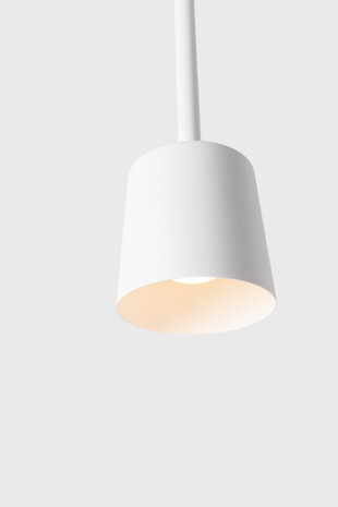 Tulip Bloom Suspended hanglamp Modular