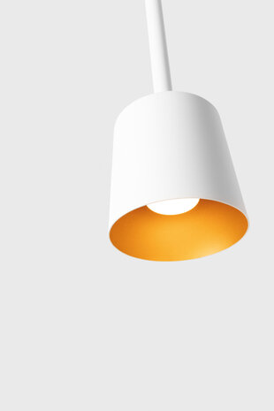 Tulip Bloom Suspended hanglamp Modular