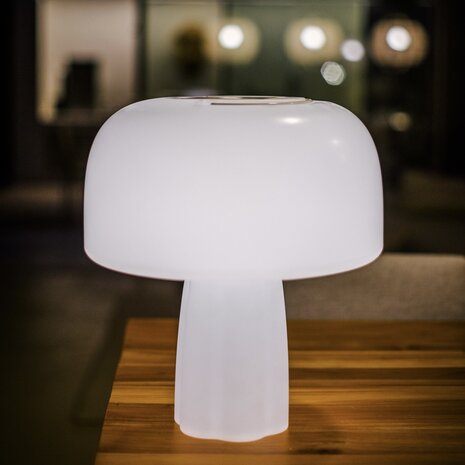 The Boleti Lamp portable lamp Goodnight Light