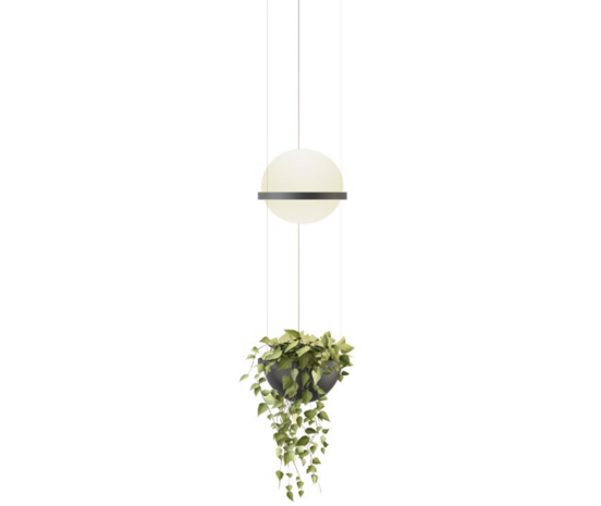 Palma 3724 hanglamp Vibia 