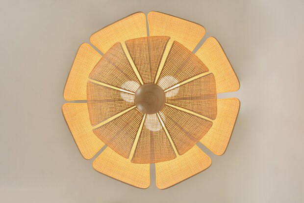 Coquillage D70 hanglamp Market Set