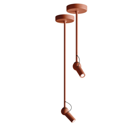 Bird plafondlamp KDLN